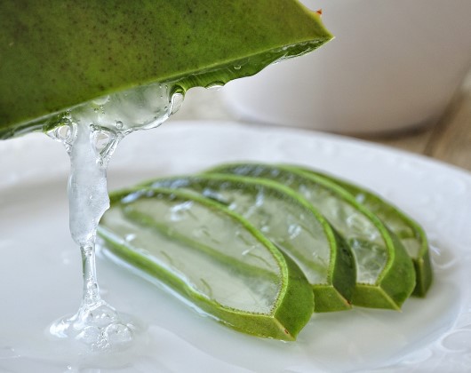 Aloe Vera Dangers | 12 Effets Secondaires, Interactions Médicamenteuses et Cancer