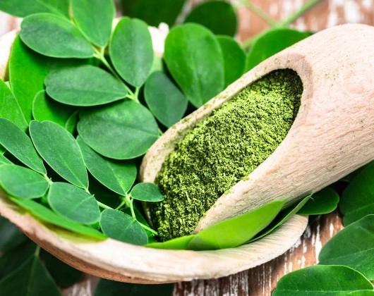 Dangers du Moringa pour la santé