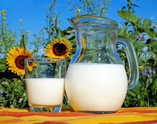 Laits végétaux : bons pour tous ?