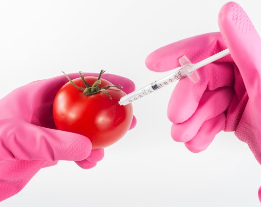 OGM et Risques pour la santé