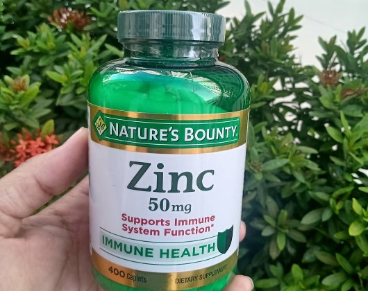 Toxicité du Zinc pour l'Homme | Intoxication par le Zinc 